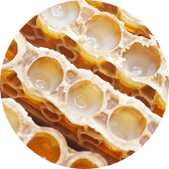 スプリウムローヤルゼリー | JRJオンラインショップ