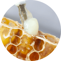 スプリウムローヤルゼリー | JRJオンラインショップ