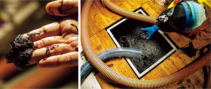 柔らかく香りが良いとされる新芽「一番摘み」の収穫の真っ只中